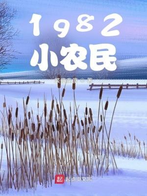 1982小农民封面