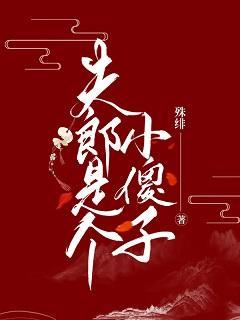 夫郎是个小傻子(女尊)封面