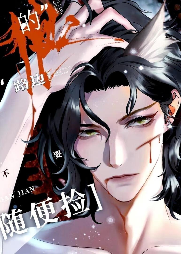 钓系指挥官，在线训狼封面