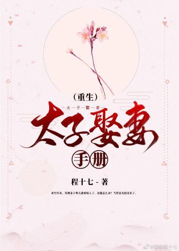 太子娶妻手册(重生)封面