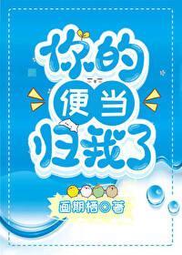 你的便当归我了封面