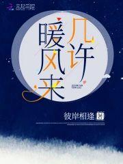几许暖风来封面