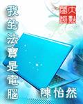 我的法宝是电脑封面