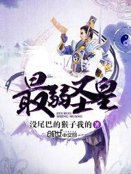 最弱圣皇封面