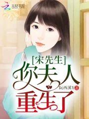 宋先生,你夫人重生了封面