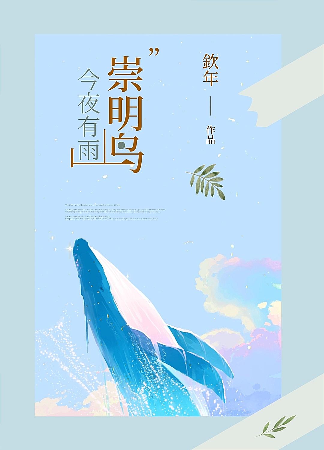 崇明岛今夜有雨封面