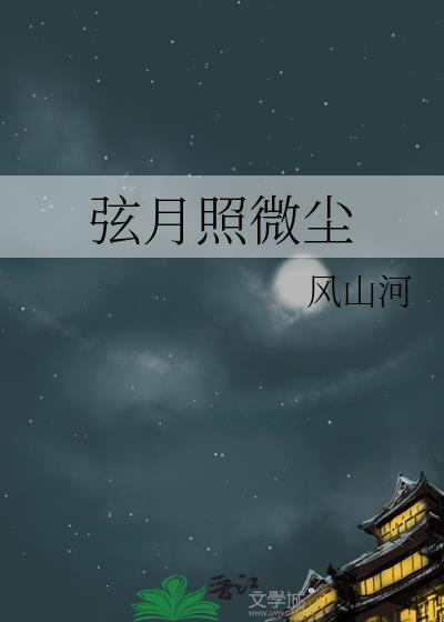 弦月照微尘封面