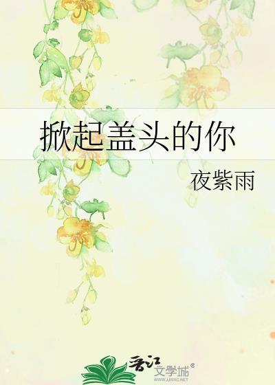 掀起盖头的你封面