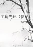 主角光环[快穿]封面