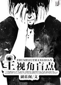主视角盲点封面