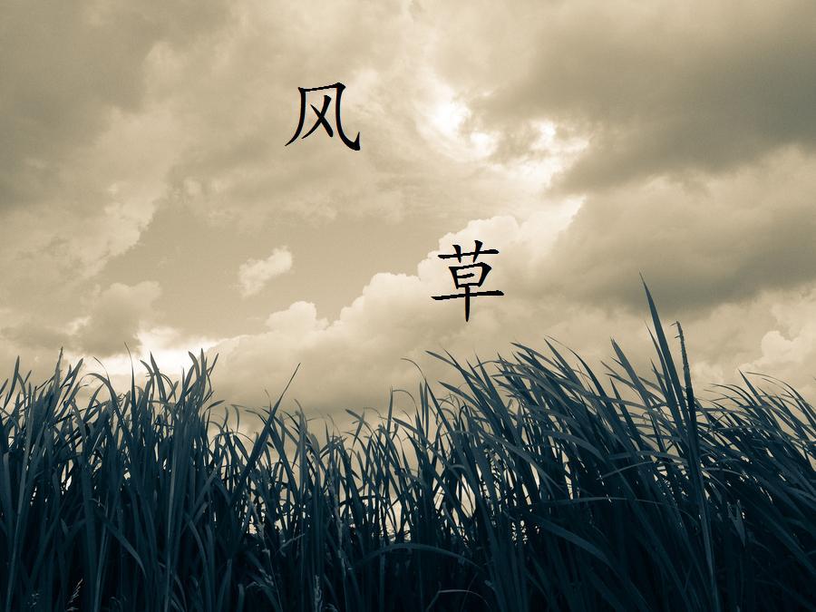 彼岸的风封面