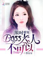 限时婚宠:BOSS大人,不可以封面