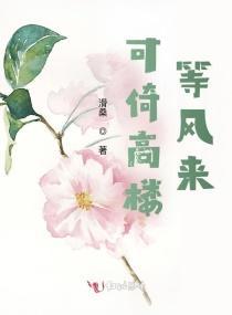可倚高楼等风来封面