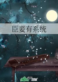 臣妾有系统封面