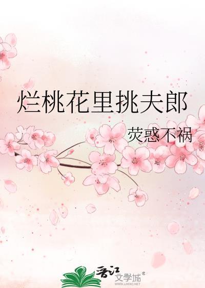 烂桃花裏挑夫郎封面
