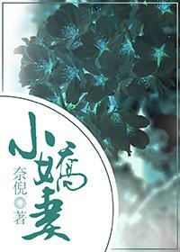 小娇妻封面