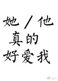 他真的好爱我封面