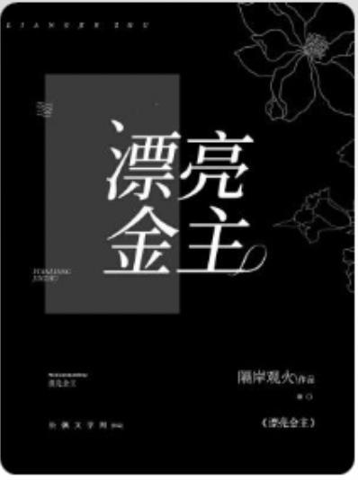 漂亮金主封面