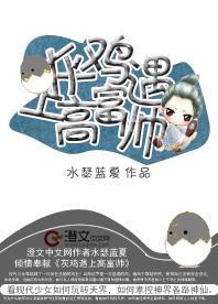 灰鸡遇上高富帅封面