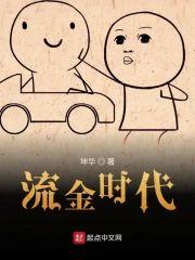 流金时代封面
