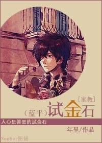 [家教]试金石封面