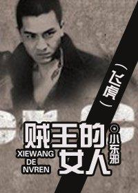 贼王的女人封面