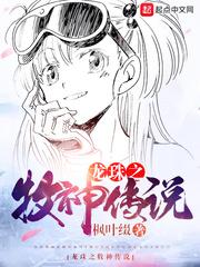 龙珠之牧神传说封面
