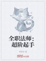 全职法师：超阶起手封面