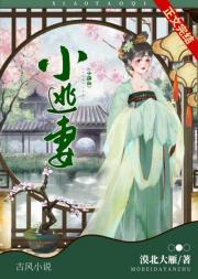 偏执皇帝的小逃妻封面