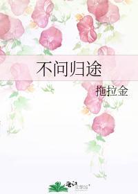 不问归途封面
