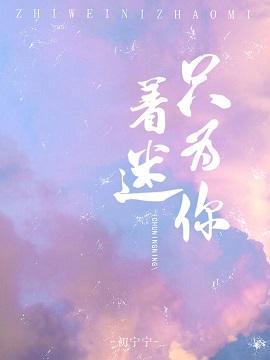 只为你着迷封面