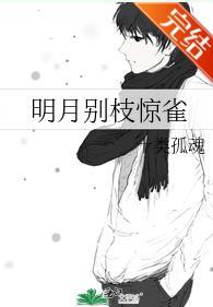 明月别枝惊雀封面