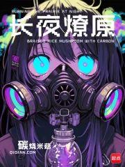 废土要塞的骇装骑士封面