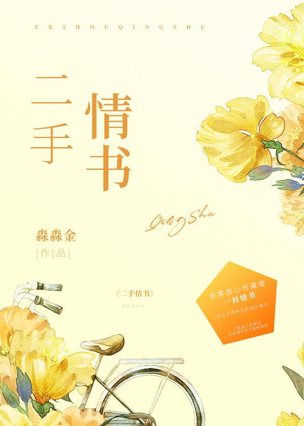 二手情书封面