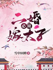 二婚必须嫁太子封面