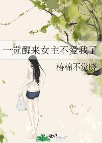 一觉醒来女主不爱我了封面