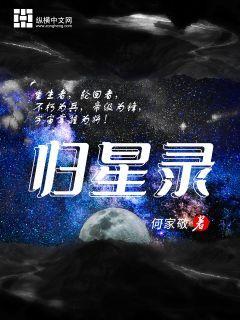 归星录封面