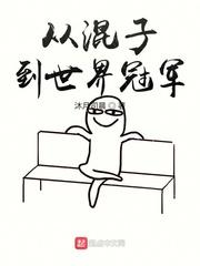 从混子到世界冠军封面