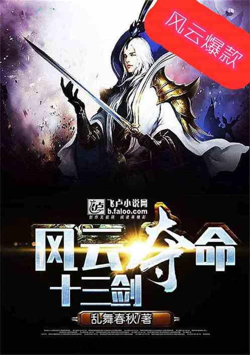 风云夺命十三剑封面