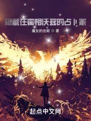 隐藏在霍格沃兹的占卜家封面