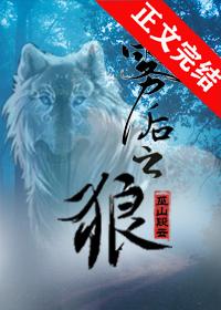 雾后之狼封面