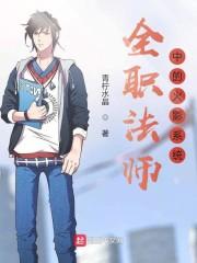 全职法师中的火影系统封面