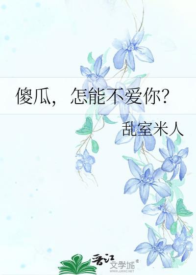 傻瓜,怎能不爱你?封面