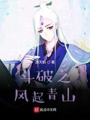 斗破之风起青山封面