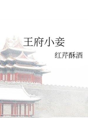 王府小妾封面