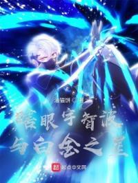 瞎眼宇智波与白金之星封面