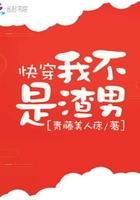 快穿我不是渣男封面