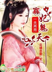 一夫两用，寡妃魅天下封面