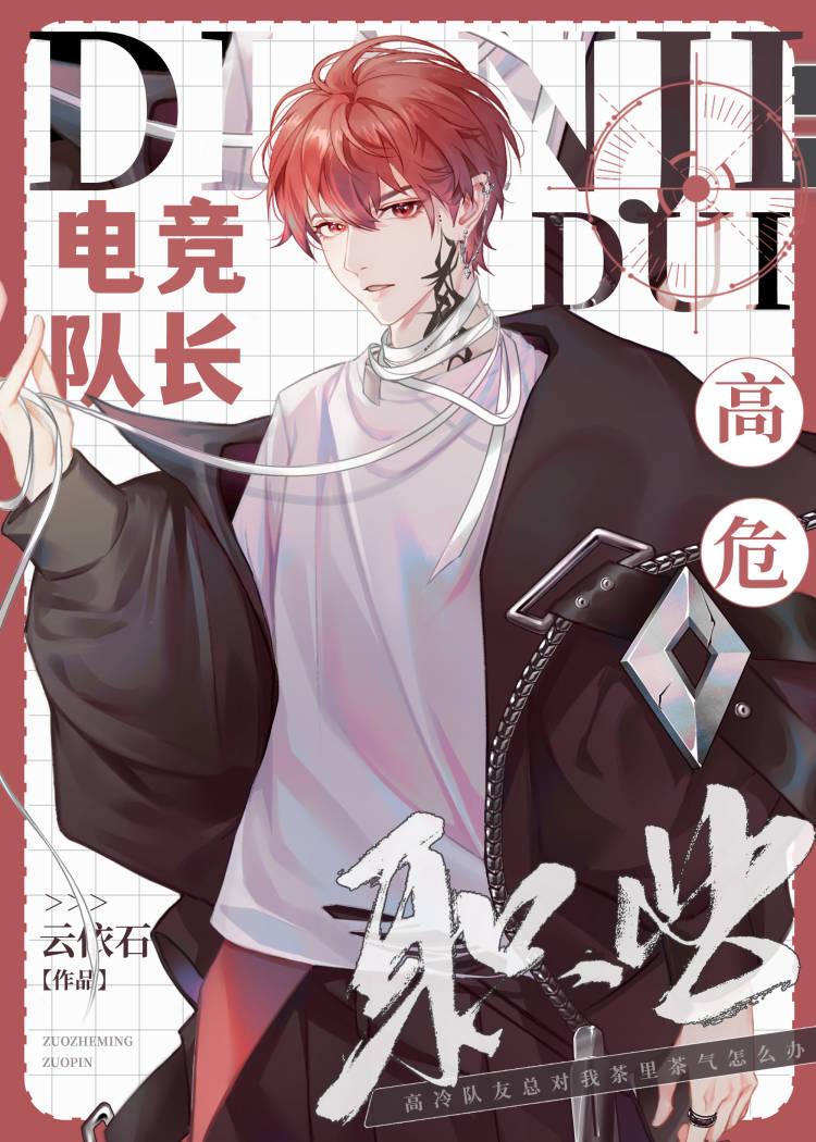 电竞队长，高危职业封面