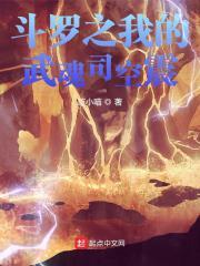 斗罗之我的武魂司空震封面